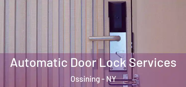 Automatic Door Lock Services Ossining - NY