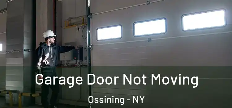  Garage Door Not Moving Ossining - NY