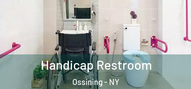 Handicap Restroom Ossining - NY
