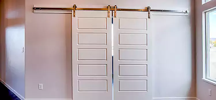 Glass Barn Door with Installation Hardware Kit Ossining